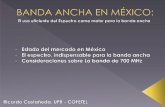 Caso país: Cofetel, México