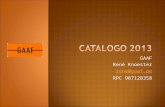 CATALOGO GAAF LENTES 2013