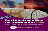 Revista Argentina de Anatomía Online 2013; 4(1):1-40