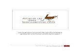 Proyecto Atlas de las Aves Nidificantes de Chile