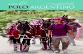 POLO ARGENTINO N° 13