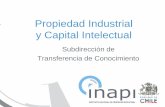 INAPI - Propiedad Industrial y Capital Intelectual