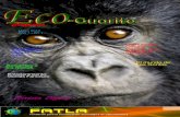 Eco-Guarito Magazine