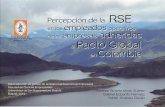 Percepción de la RSE en Colombia