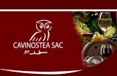 CAVINOSTEA SAC importantes productores de vinos en la región de Burdeos
