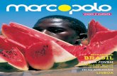 Revista Marcopolo N53