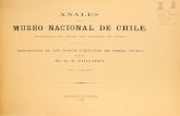 Anales 1895 idolos peruanos de greda cocida