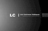 Luis Contreras: Trayectoria Profesional 2012
