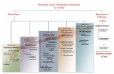 Mapa Conceptual Profesion Docente en Chile