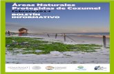 Boletín Informativo de las Áreas Naturales Protegidas de Cozumel