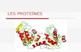 Les proteïnes. Estructura, propietats i funcions