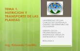 Tema 1. Biologia II Presentación Nutrición y Transporte de las plantas