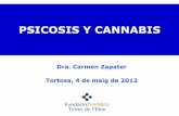PSICOSIS I CANNABIS (sessió adolescència. maig'12). Carme.Pere Mata