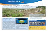 Noticias Mercantil 81