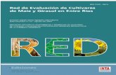 INTA-Red de Evalución de cultivares de Maíz y Girasol en Entre Ríos-