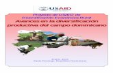 Memoria Proyecto de USAID de Diversificación Económica Rural