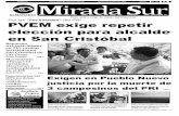 Por las “cochinadas” del PRI. PVEM exige repetir elección para alcalde en San Cristóbal