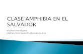La Clase Amphibia en El Salvador