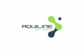 Aquiline ICT Group ES