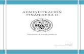 PORTAFOLIO VIRTUAL ADMINISTRACION FINANCIERA II