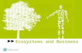 Estandares de ecosistemas