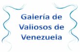 Galería de ¨Los Valiosos de Venezuela