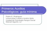 RODRÍGUEZ, Pedro E. “Primeros Auxilios Psicológicos Guía mínima”. sf
