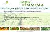 VIGORUZ - Aminoacido fertilizante