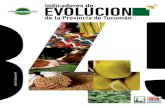 Indicadores de Evolución de la Provincia de Tucumán
