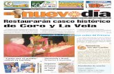 Diario Nuevodia Domingo 01-11-2009