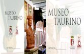 ENTRADA MUSEO TAURINO
