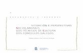 Situación e perspectivas sociolaborais dos técnicos de Cultura dos Concellos Galegos