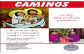 Revista Caminos Nº 07 - Colegio Ingenieria - Huancayo, Perú