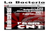 La bacteria simbiotica 4