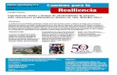 Boletín N° 4 Caminos para la Resiliencia