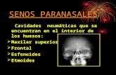 Estudio Radiologico de Senos Paranasales