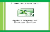Album de Excel 2010