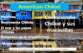 American Chiloé