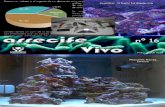 Arrecife Vivo