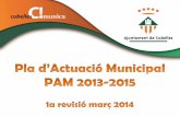 Revisió PAM (març 2014)