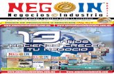 Revista Negocios e Industria 15 de enero al 15 de febrero de 2011