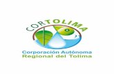 Informe de Gestión CORTOLIMA 2011