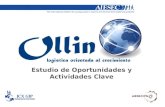 Ollin... logistica orientada al Crecimiento AIESEC IPN [iGIP]