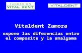 Vitaldent Zamora expone las diferencias entre el composite y la amalgama