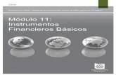 Modulo 11 instrumentos financieros básicos