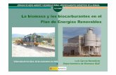 LA BIOMASA Y LOS CARBURANTES EN EL PLAN DE ENERGIAS RENOVABLES