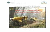 Manual del Combatiente de Incendios Forestales de la Rep. Argentina