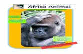 Africa Animal