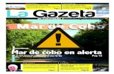 La Gazeta Mar Chiquita Nº32