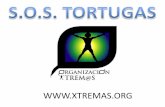 proyecto s.o.s tortugas